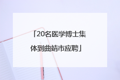 20名医学博士集体到曲靖市应聘