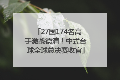 27国174名高手激战德清！中式台球全球总决赛收官