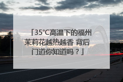 35℃高温下的福州茉莉花越热越香 背后门道你知道吗？
