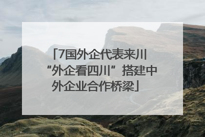 7国外企代表来川 “外企看四川”搭建中外企业合作桥梁