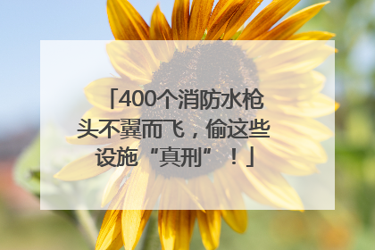 400个消防水枪头不翼而飞，偷这些设施“真刑”！