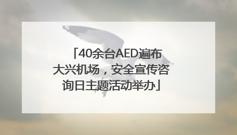 40余台AED遍布大兴机场，安全宣传咨询日主题活动举办