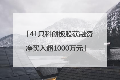 41只科创板股获融资净买入超1000万元
