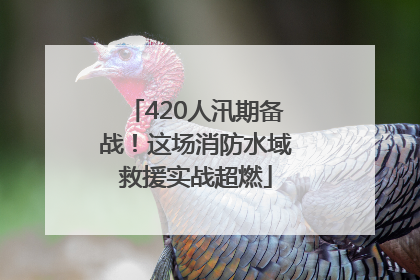 420人汛期备战！这场消防水域救援实战超燃