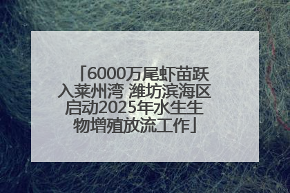 6000万尾虾苗跃入莱州湾 潍坊滨海区启动2025年水生生物增殖放流工作