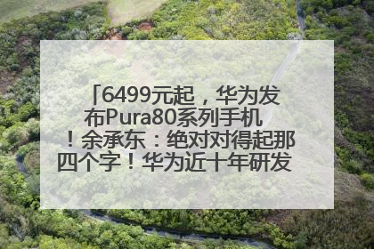 6499元起，华为发布Pura80系列手机！余承东：绝对对得起那四个字！华为近十年研发投入12490亿元
