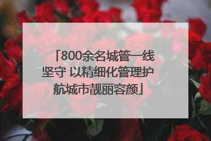 800余名城管一线坚守 以精细化管理护航城市靓丽容颜