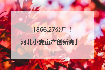 866.27公斤！河北小麦亩产创新高