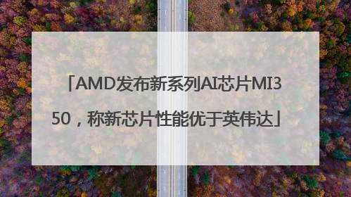 AMD发布新系列AI芯片MI350，称新芯片性能优于英伟达