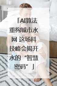 AI算法重构城市水网 这场科技峰会揭开水的“智慧密码”