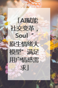 AI赋能社交变革，Soul“原生情绪大模型”满足用户情感需求