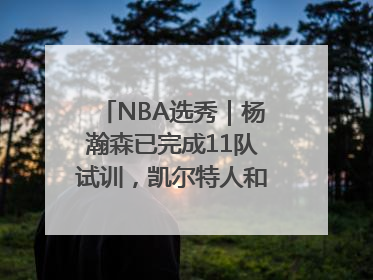 NBA选秀｜杨瀚森已完成11队试训，凯尔特人和太阳更适合他